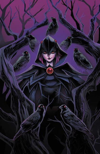 Dcs Quoth the Raven Whatever #1 (ONE Shot) — Cover A (Sweeney Boo), DC Comics 2026
