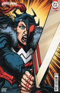 Cover C