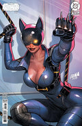 Cover D