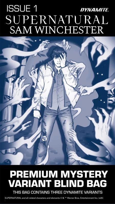__cvr__Cover H (Premium Mystery Blind Bag)
