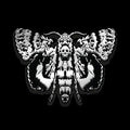 Life Is Strange Deaths Head Moth Enamel Pin Badge Standard
