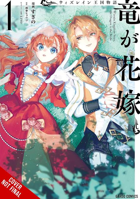 Tale of the Wizrain Kingdom the Dragon Is the Bride Tp Vol 01 Standard