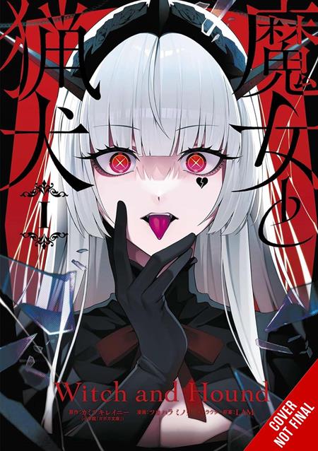 Witch and Hound Tp Vol 01 Standard