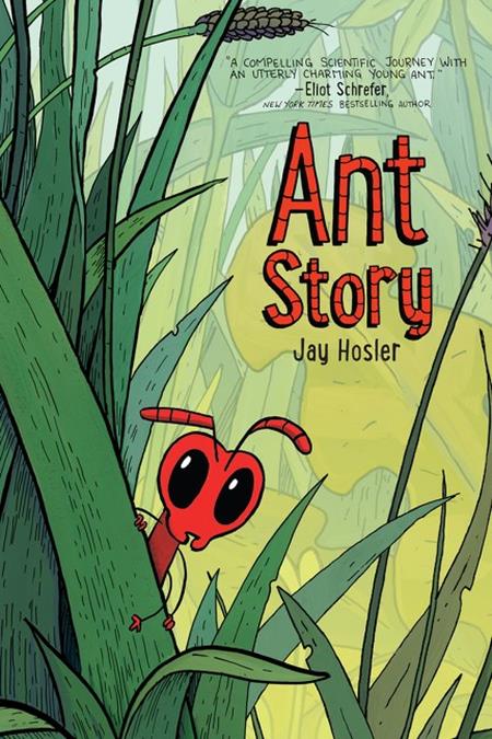 Ant Story Tp Standard