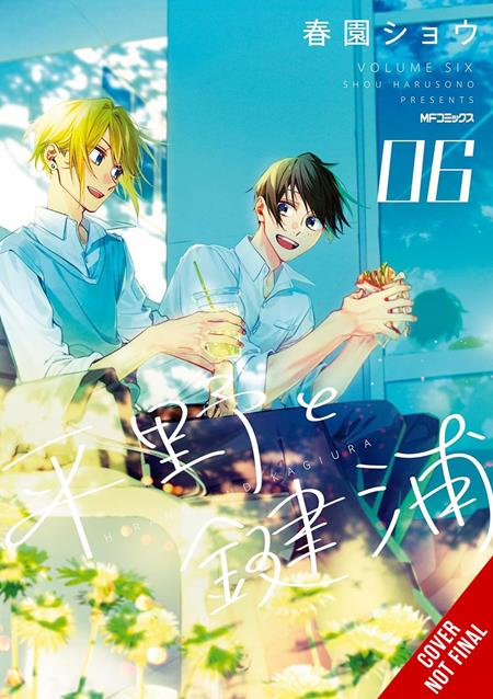 Hirano and Kagiura Tp Vol 06 Standard